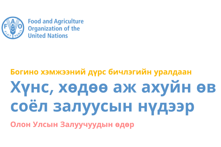 НҮБ-ын Хүнс, хөдөө аж ахуйн байгууллагаас дүрс бичлэгийн уралдаан зарлаж байна